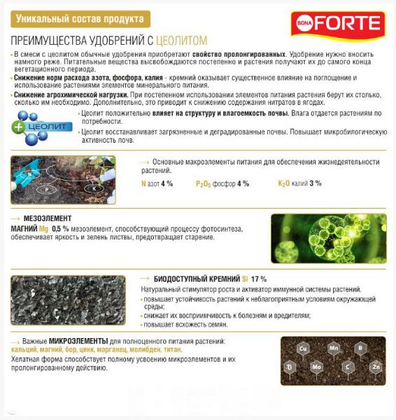 Bona Forte для голубики и лесных ягод с кремнием 2.5кг